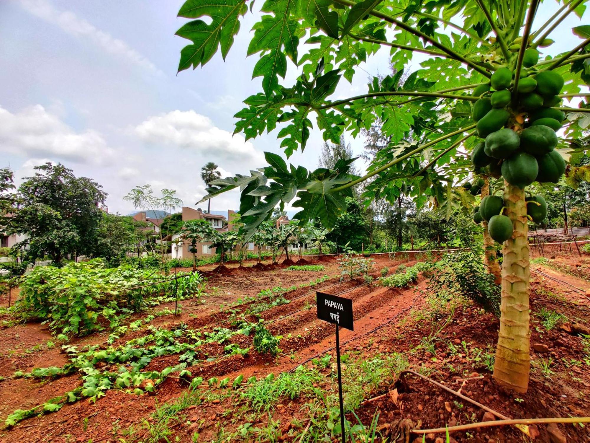 Pushpam Sanskruti Resort Karjat - A Pure Veg Resort Dhamni Zewnętrze zdjęcie