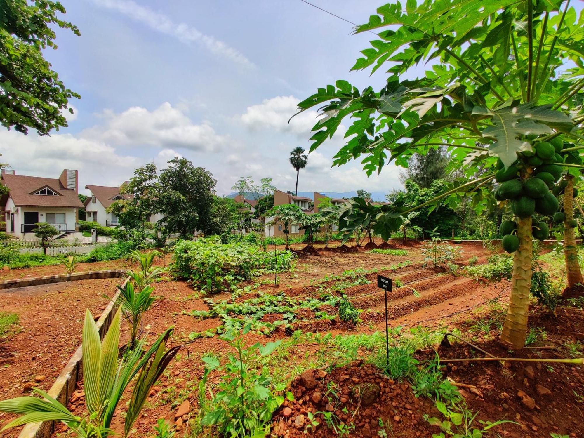Pushpam Sanskruti Resort Karjat - A Pure Veg Resort Dhamni Zewnętrze zdjęcie